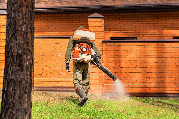 Trusted Rodent Control service in Buena, NJ - Nex Pest Control